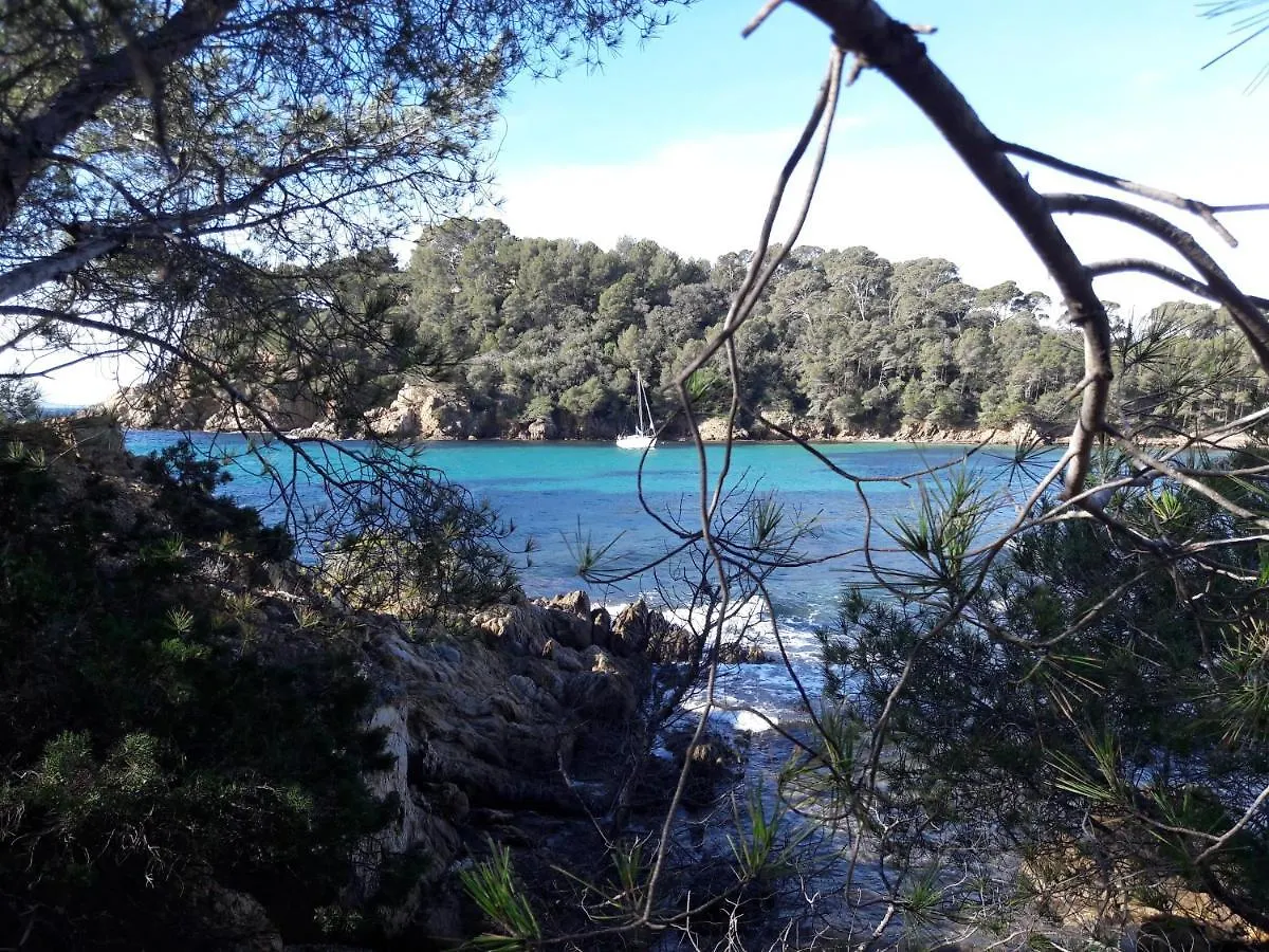 Apartamento Appartement Cosy 100 M2 - Climatise - Calme -Centre-Ville Hyères Francia